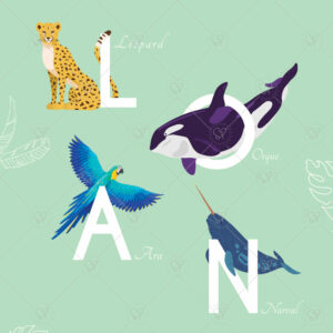 Loan-zoom