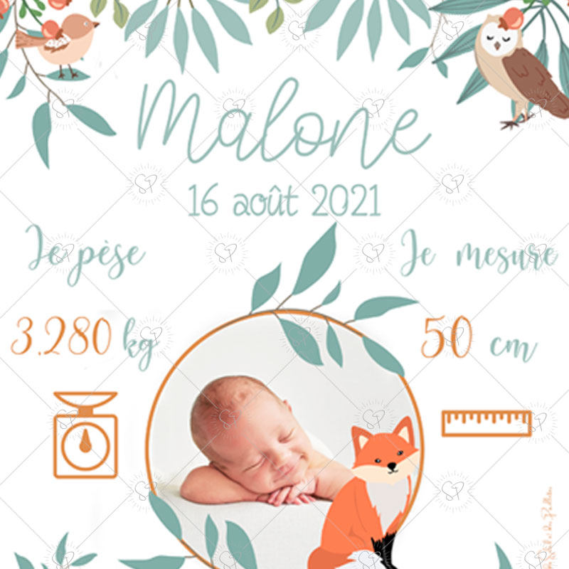 Une affiche de naissance qui viendra décorer la chambre d'une petite fille ou d'un petit garçon