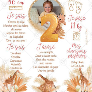 anniversaire-girafe-savane-detail-2
