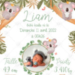 Cette affiche naissance peut également être un cadeau original et personnalisé à offrir pour la naissance