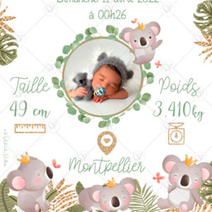 affiche-naissance-bebe-koala-detail-2