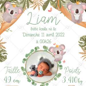 affiche-naissance-bebe-koala-detail