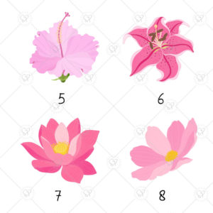 fleurs-roses