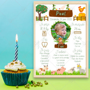 Célébrez l’anniversaire de votre enfant avec cette affiche personnalisable et ses adorables animaux de la ferme. Pour accompagner la déco de table et décorer sa chambre.