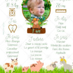 L'affiche anniversaire animaux de la ferme est personnalisable avec les informations de votre enfant
