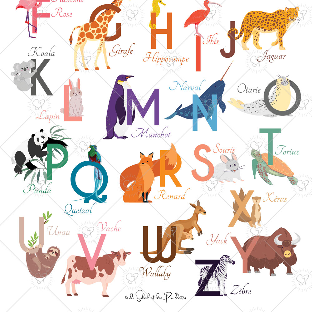 abecedaire-animaux-zoom-2