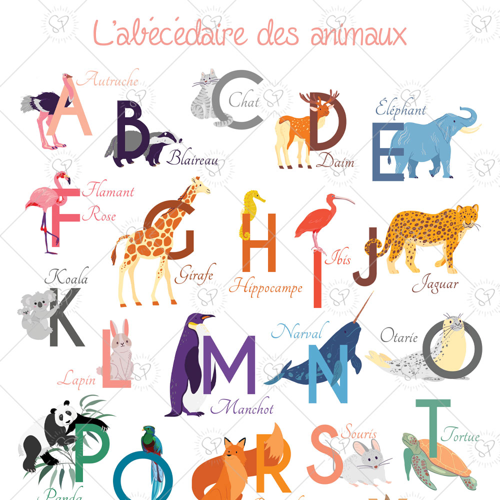 abecedaire-animaux-zoom