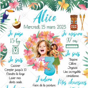 AFFICHE-HAWAI-tropical-zoom