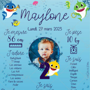anniversaire-babyshark-detail