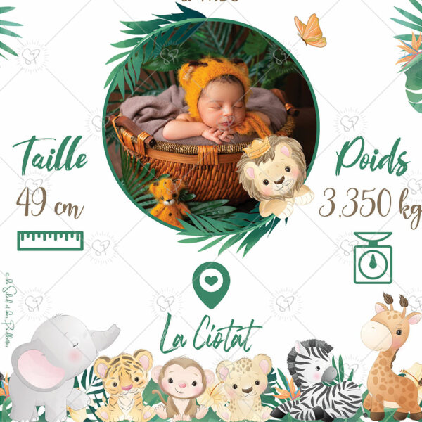 Cette affiche naissance animaux de la savane est une jolie attention qui ne manquera d’émouvoir les jeunes parents avec les informations clefs de l'enfant