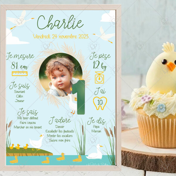 Une affiche anniversaire pour les enfants qui aiment les animaux et la nature, aux couleurs dominantes bleu, jaune et vert sur laquelle on retrouve des oies blanches et leurs bébés oisons en bord de mare mais également voguant sur l'eau, entre les roseaux, qui viendra compléter votre déco pour la fête, à installer à côté du gâteau.